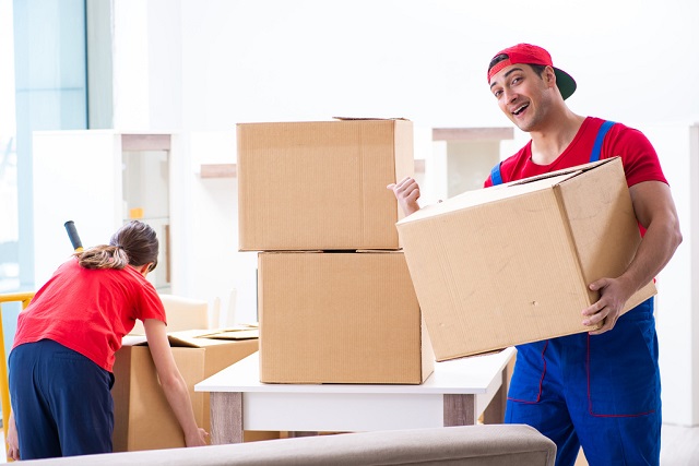 Anjana Packers and Movers Team